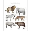 Nursery Fashionell | Poster - In The Savannah