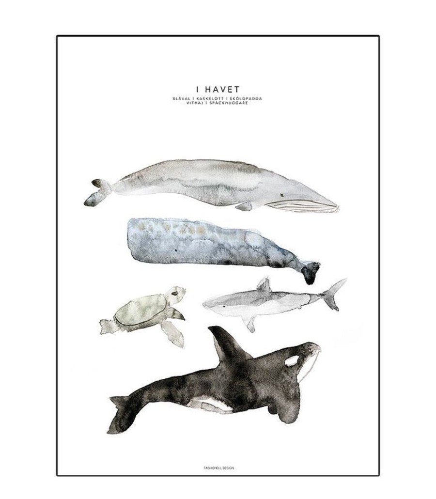 Nursery Fashionell | Poster - In The Ocean